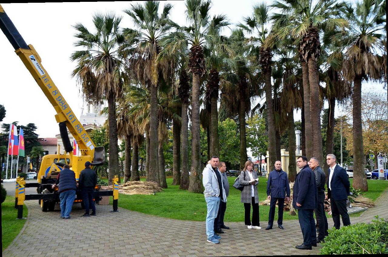 «Виктор Тепляков проверил сквер «Кооперативный» в Сочи»